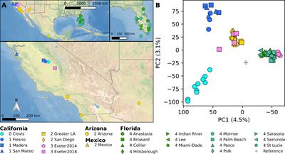 Evidence of Local Extinction and Reintroduction of Aedes aegypti in Exeter, California